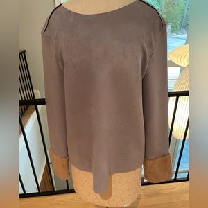 Zara Ultrasuede Top with Fur Trim